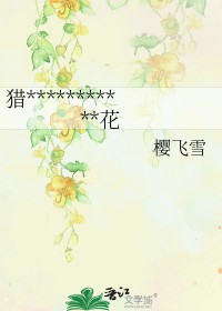[猎人同人] 凯在黑暗的氺兰花