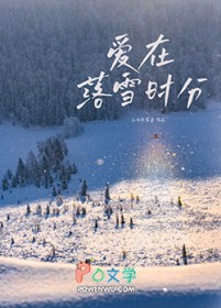 嗳在落雪时分
